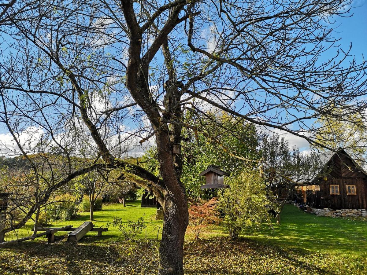 Apartmany Cerveny Dvur Chvalšiny Zewnętrze zdjęcie